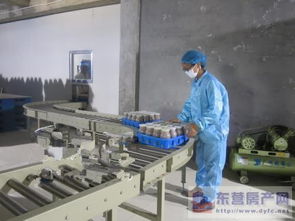 东营市产业双轮驱动 食用菌产业发展与房地产开发的协同并进